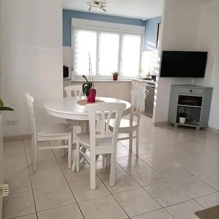 Strasbourg 3 Pieces Avec Jardin * Brumath