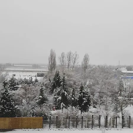 Strasbourg 3 Pieces Avec Jardin Apartament