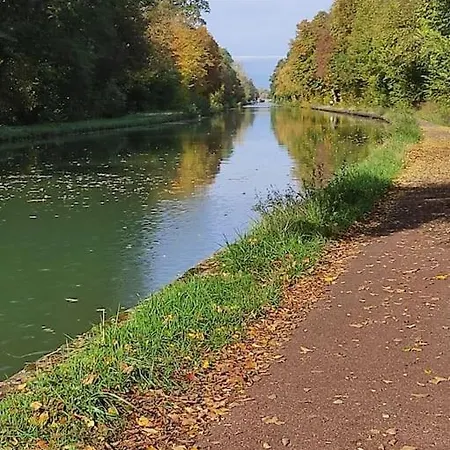 Strasbourg 3 Pieces Avec Jardin *