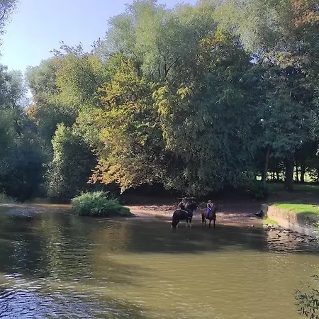 Strasbourg 3 Pieces Avec Jardin Brumath