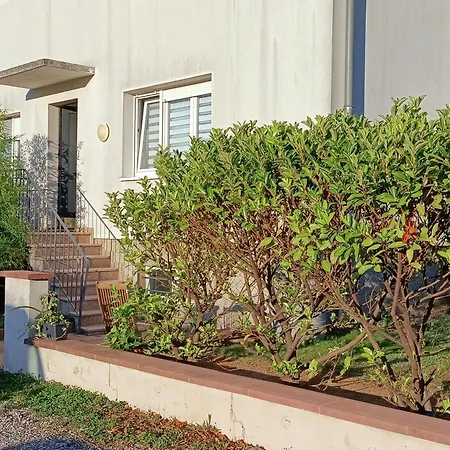 Strasbourg 3 Pieces Avec Jardin Apartament Brumath